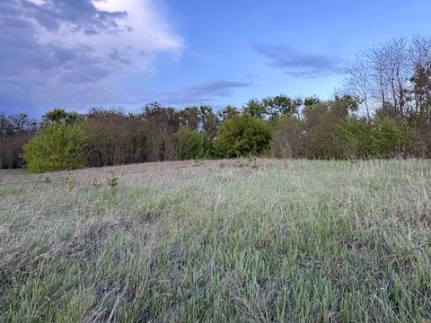 ділянка за адресою с. Михайлівка-Рубежівка, Шляхова