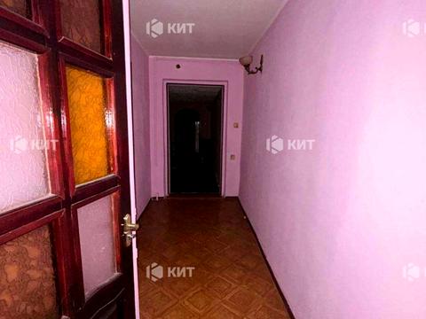 дом по адресу Академика Павлова ул.