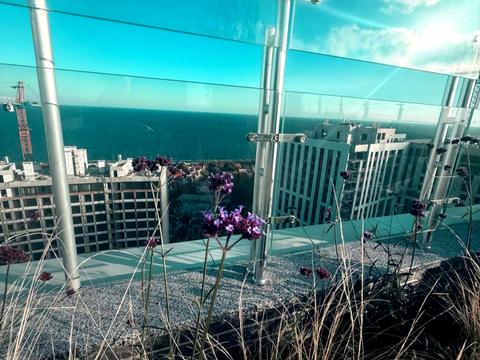 квартира по адресу Курортный пер., 2/2