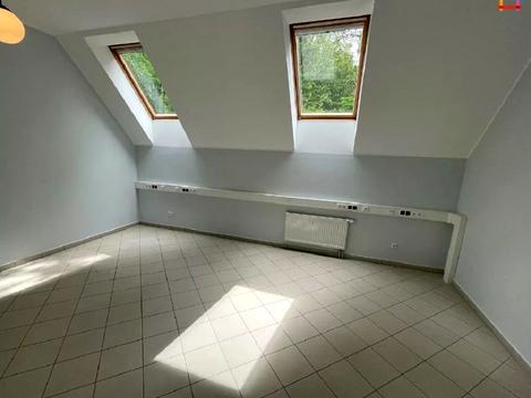 комерційна за адресою Уласа Самчука вул. (улица Пархоменко), 24