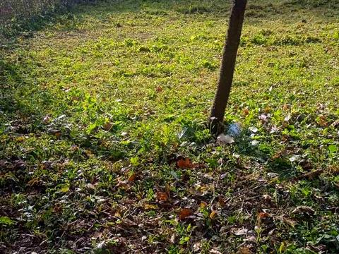 участок по адресу Калуське, 18