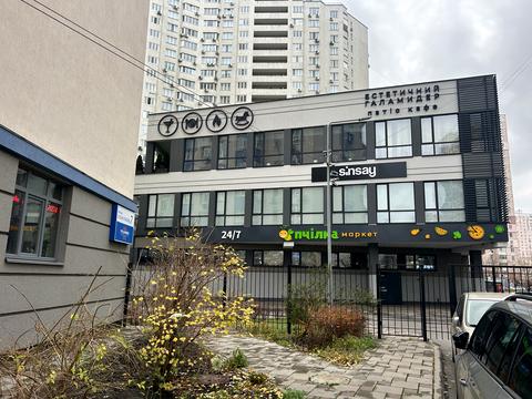 квартира за адресою Олени Пчілки вул., 2