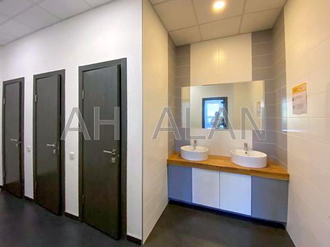 коммерческая по адресу Елены Телиги ул., 6