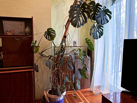 квартира за адресою Китаєнка вул., 3б