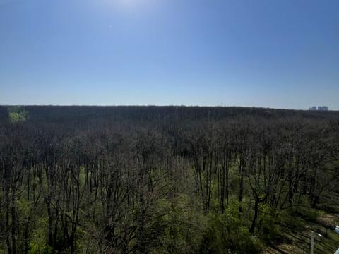 квартира по адресу Победы просп., 86а