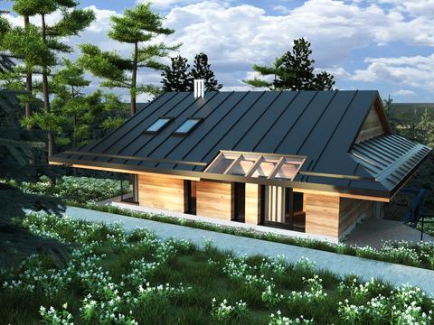 будинок за адресою центральна