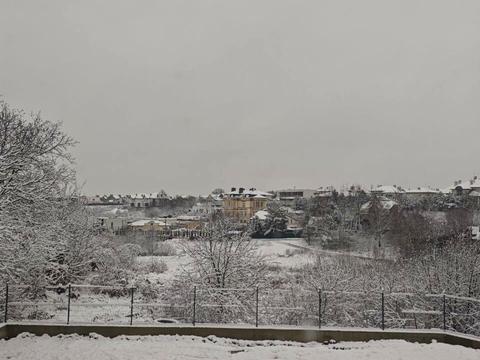 дом по адресу Вишнёвая ул.