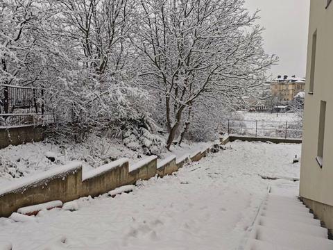 дом по адресу Вишнёвая ул.