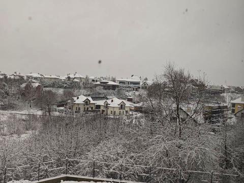 дом по адресу Вишнёвая ул.