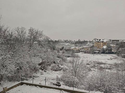 дом по адресу Вишнёвая ул.