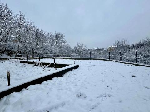 дом по адресу Вишнёвая ул.