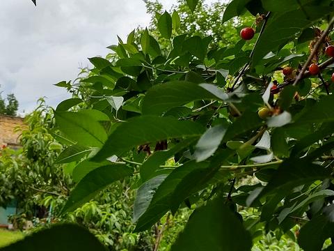 квартира по адресу Бабеля ул., 15