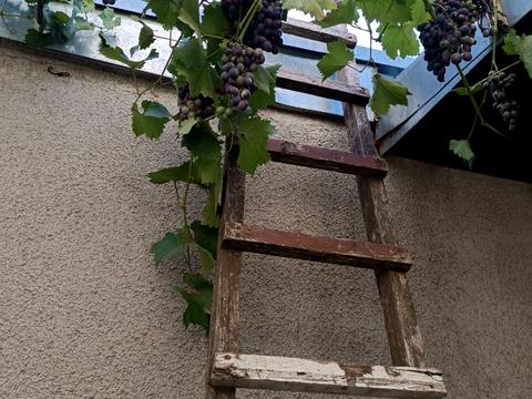 будинок за адресою Амурська вул.