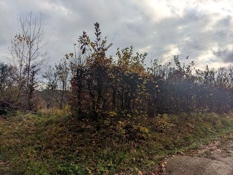 ділянка за адресою Лесі Українки