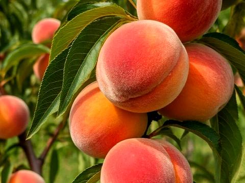 участок по адресу 16-го Июля ул., 41