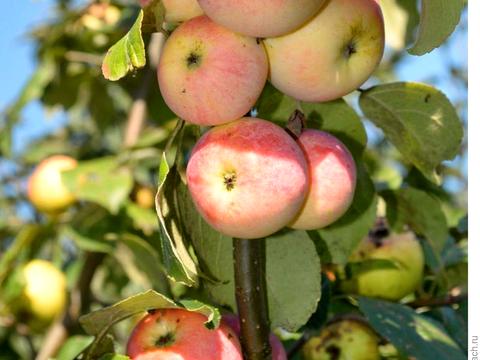 участок по адресу 16-го Июля ул., 41