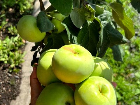 участок по адресу 16-го Июля ул., 41