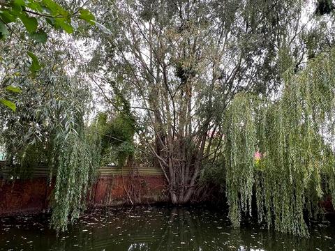 будинок за адресою Левадна вул., 8