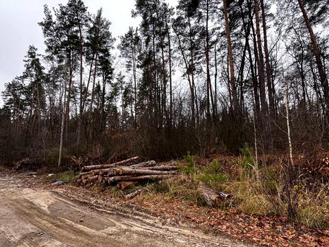 ділянка за адресою Святошинська