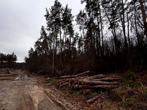 ділянка за адресою Святошинська