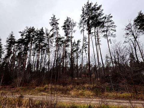 ділянка за адресою Святошинська