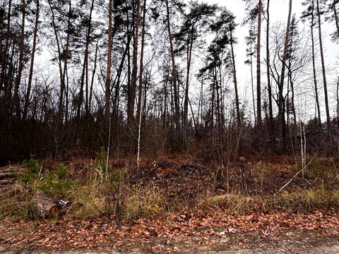 ділянка за адресою святощенську