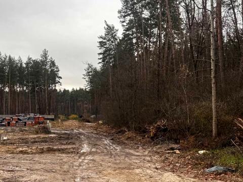 ділянка за адресою святощенську