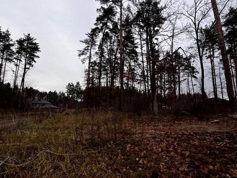 ділянка за адресою святощенську