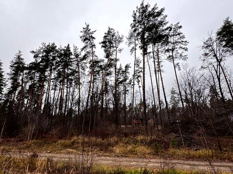 ділянка за адресою святощенську