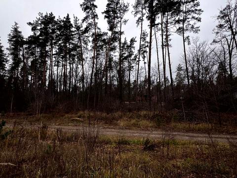 ділянка за адресою святощенську