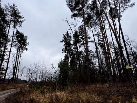 ділянка за адресою святощенську