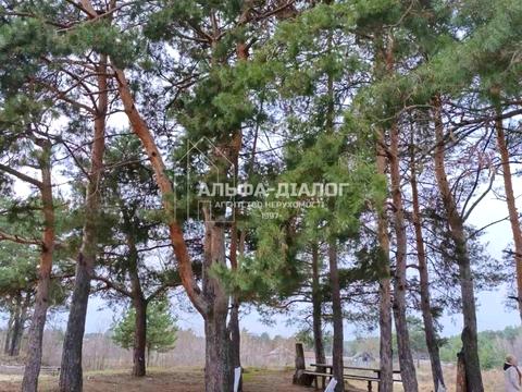 ділянка за адресою с. Ковалин, 