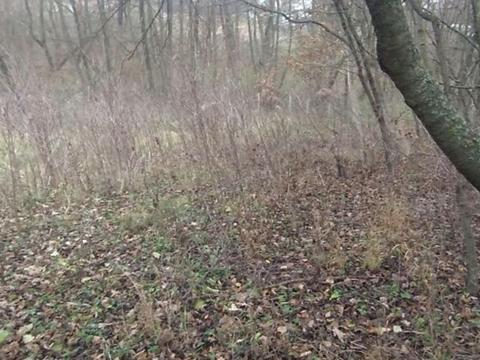 ділянка за адресою Кайдачиха