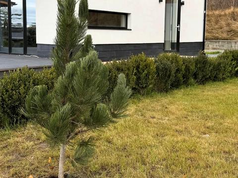 дом по адресу Грушевского ул.