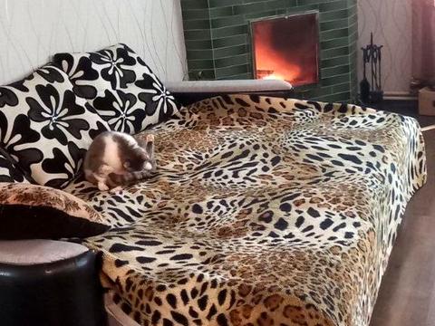 будинок за адресою Калинова