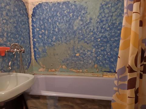 квартира по адресу Генерала Пухова ул., 146