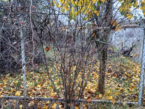будинок за адресою Перемоги пров.