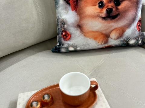 квартира по адресу Шептицького, 4