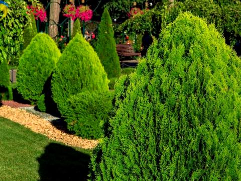 будинок за адресою Одеса, Кордонна вул., 23