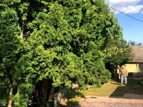 будинок за адресою Садова вул., 33