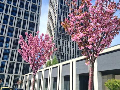 квартира за адресою Зарічна вул., 2/2