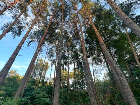 будинок за адресою Абрикосова вул.