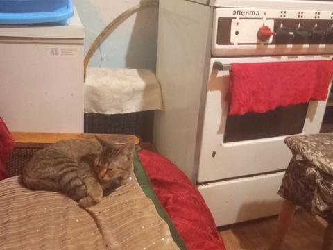 комната по адресу Тараса Шевченко ул., 7