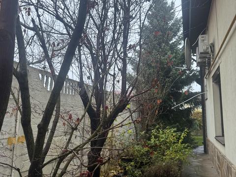 дом по адресу Патріотів ул., 60