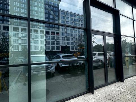 комерційна за адресою Павла Думанського вул., 14