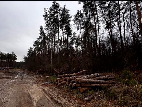 ділянка за адресою Святошинська