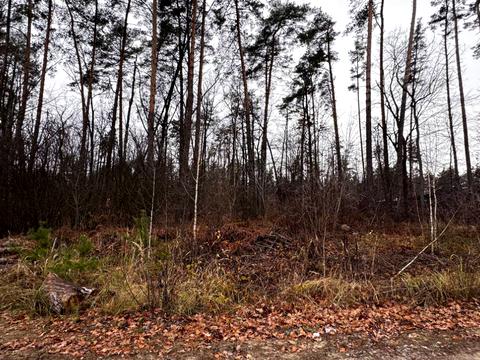 ділянка за адресою Святошинська