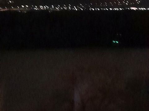 квартира по адресу Русановский бульв., 1