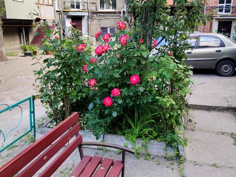 квартира по адресу Бориса Чичибабина ул., 5