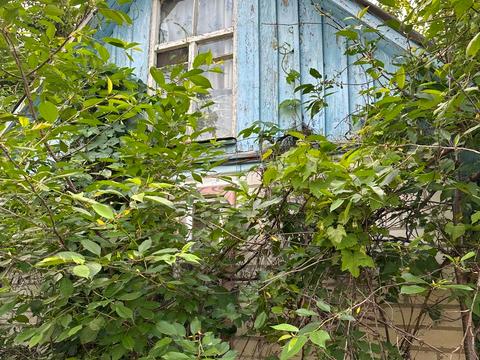 квартира по адресу Троянда, 7